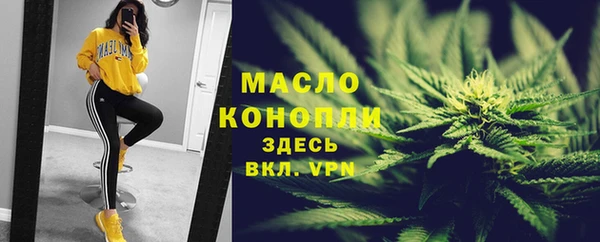 дживик Верхний Тагил