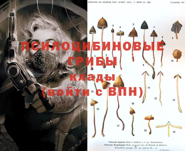 дживик Верхний Тагил