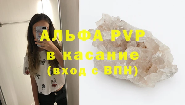 дживик Верхний Тагил