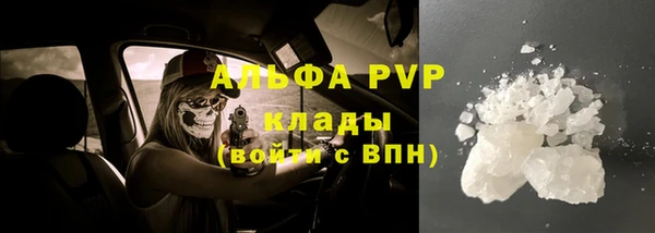 прущий лед Бородино