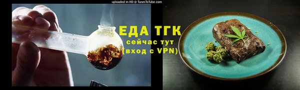 дживик Верхний Тагил