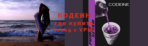 дживик Верхний Тагил