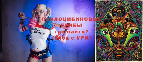 дживик Верхний Тагил