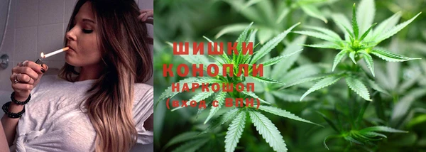 гидропоника Верея