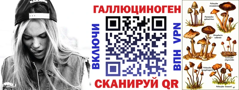 Купить где Кола Галлюциногенные грибы Psilocybine cubensis